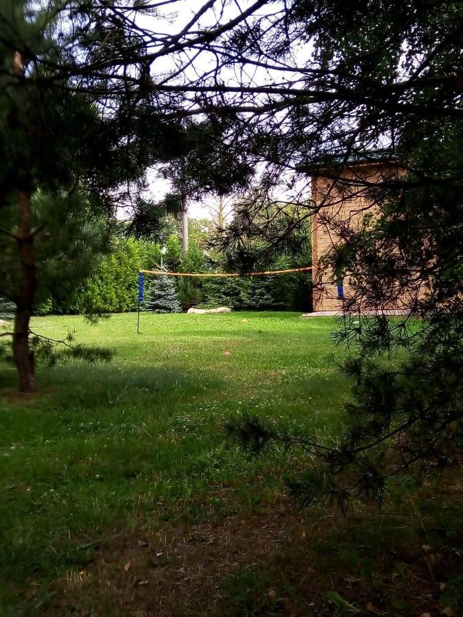 Holiday home Dom Pod Sosnami