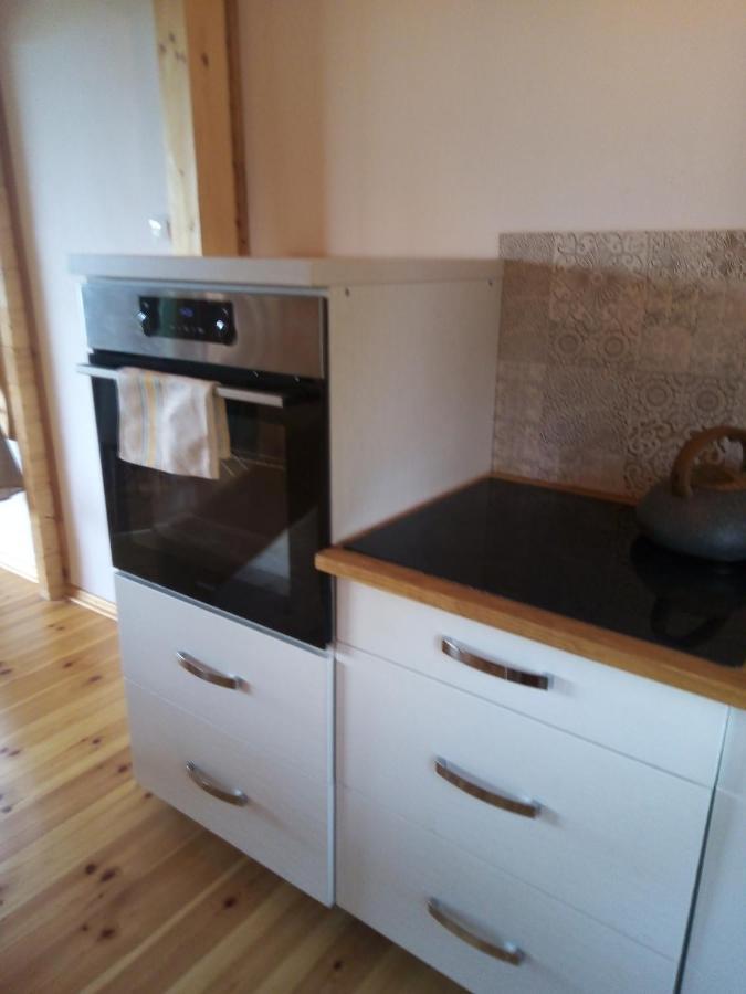 Dom Pod Sosnami Holiday home Lidzbark Welski